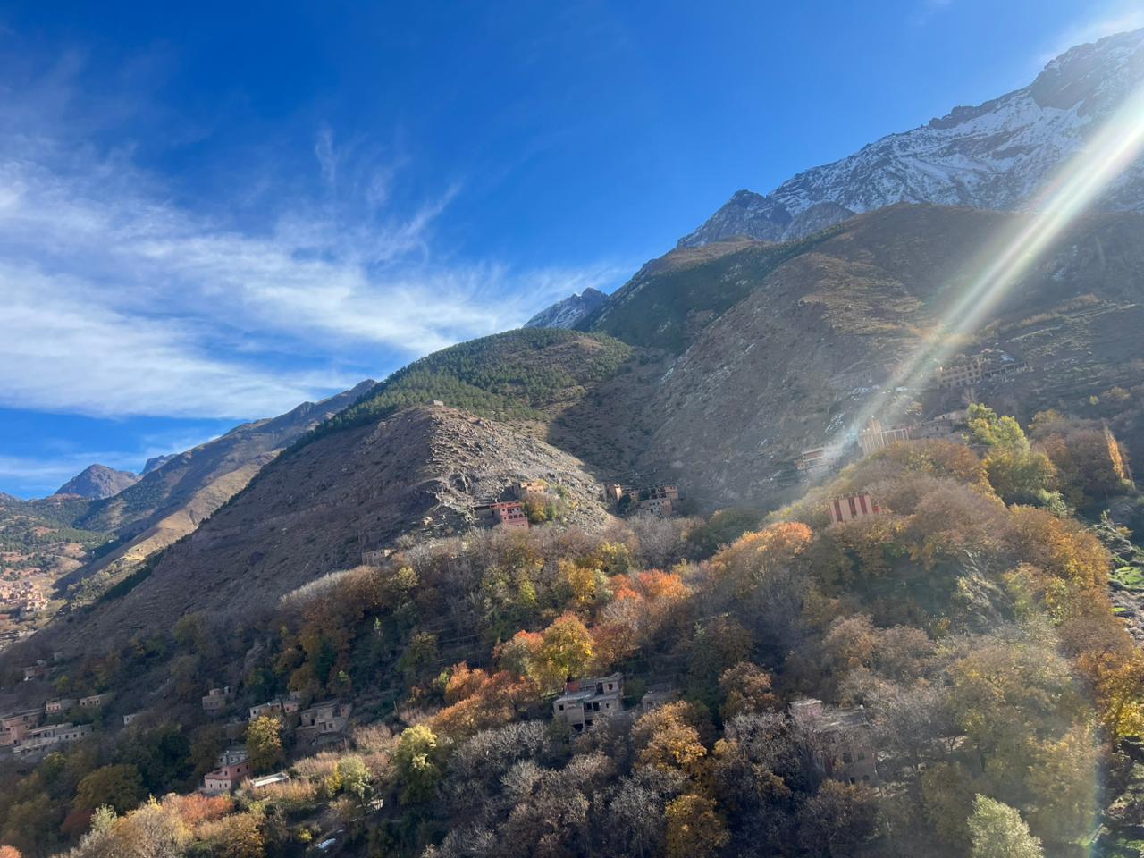 Tidli Forest & Isk Summit - 5